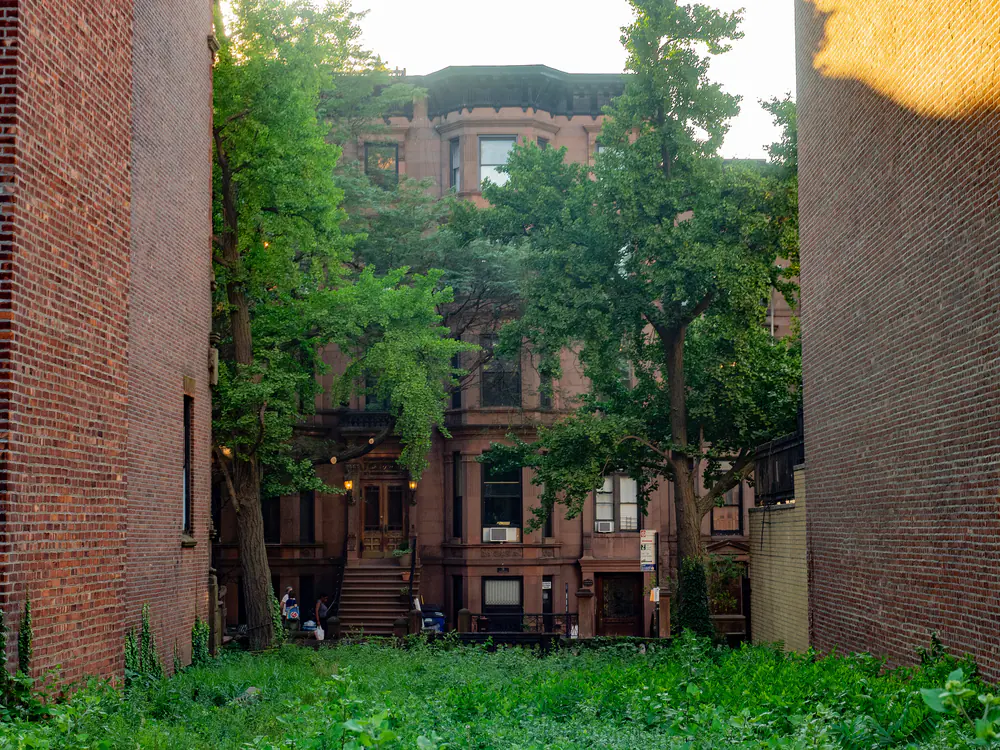 A row of brownstone houses with stoops and wrought-iron railings on a tree-lined Brooklyn street