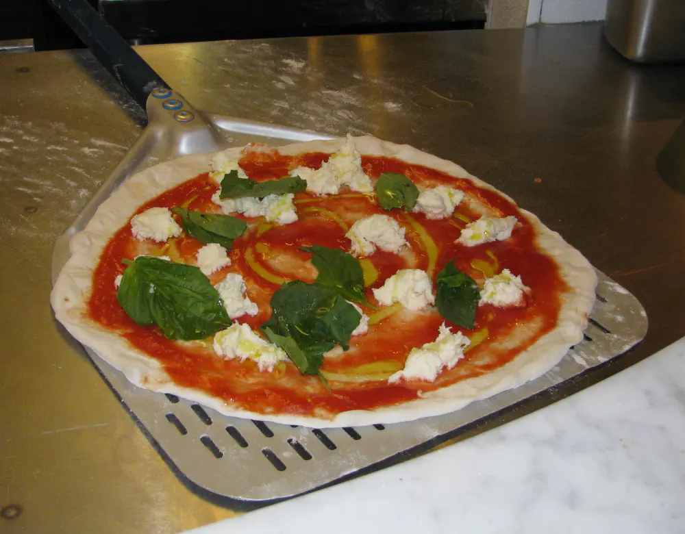 A Neapolitan Margherita pizza with a puffed, blistered rim, torn mozzarella and basil leaves on a red tomato base