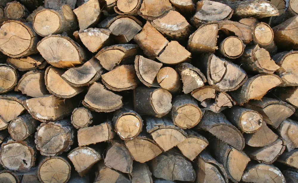 Split firewood stacked in a dense pile with the cut ends facing the camera